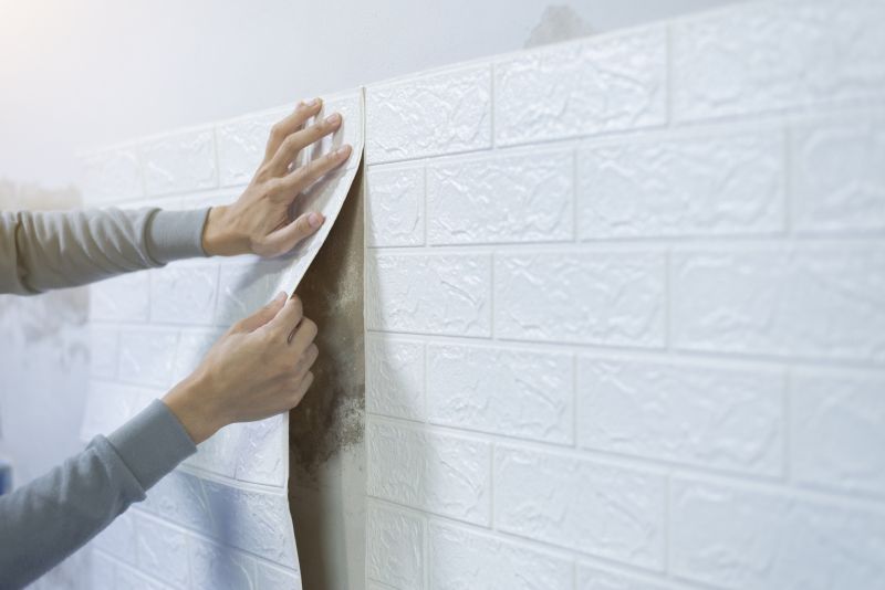 Wallpaper Installation in Denver County, CO