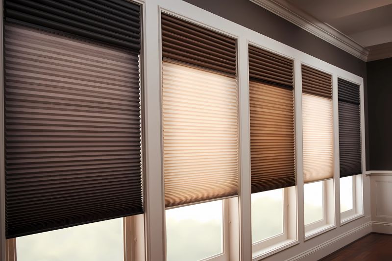 Traditional Roman Shades